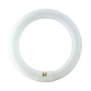 Circolina 40W Luce Fredda